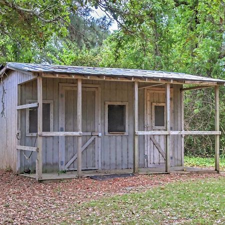Secluded And Quiet Coastal Home 1 Mile To Boat Ramp Sealevel Exteriér fotografie